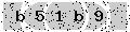 verify code