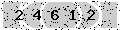 verify code