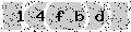 verify code
