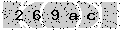 verify code
