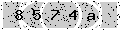 verify code