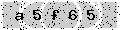 verify code
