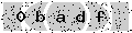 verify code