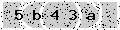 verify code