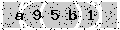 verify code