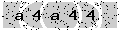 verify code