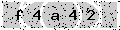 verify code