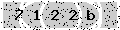 verify code