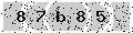 verify code