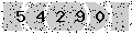 verify code