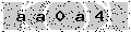 verify code
