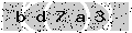 verify code