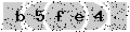 verify code