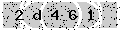 verify code