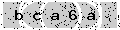 verify code