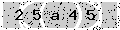 verify code