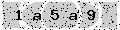 verify code