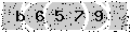 verify code