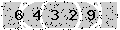 verify code