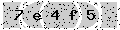 verify code