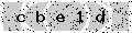 verify code