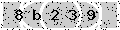 verify code