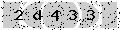 verify code