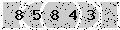 verify code