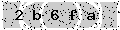 verify code