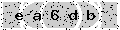 verify code