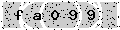 verify code
