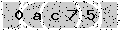 verify code