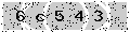 verify code