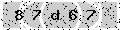 verify code