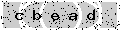 verify code