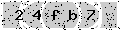 verify code
