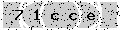 verify code