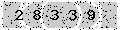 verify code