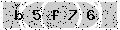 verify code