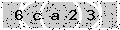 verify code