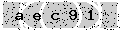 verify code
