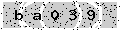 verify code