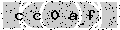 verify code