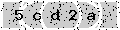 verify code