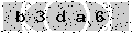 verify code