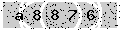 verify code