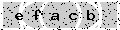 verify code