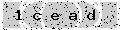 verify code