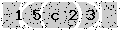 verify code