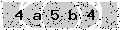 verify code